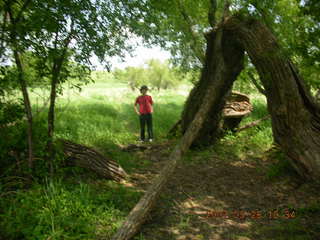 Carver Park meadow - George