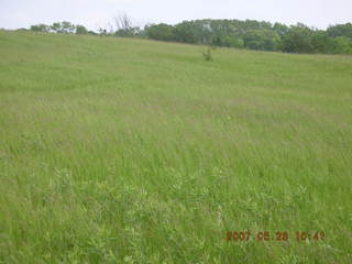 Carver Park meadow