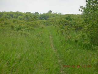 Carver Park meadow - Adam sitting