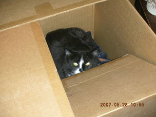 Patches in a box