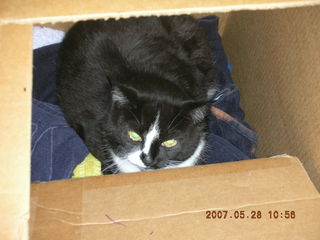 Patches in a box