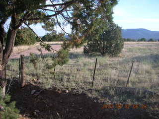 Young -- Chapman Ranch Airport - dump truck dumping rocks