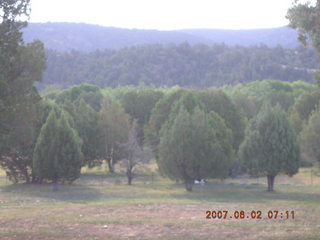 Young - run to Chapman Ranch