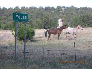 Young - run to Chapman Ranch - horses, sign