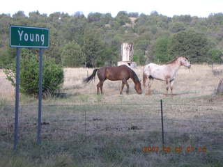 Young - run to Chapman Ranch