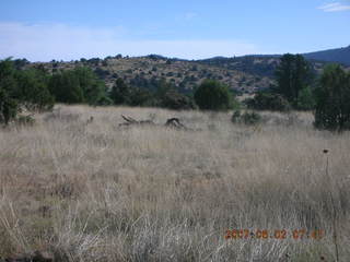 Young - run to Chapman Ranch