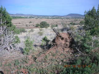 Young - run to Chapman Ranch