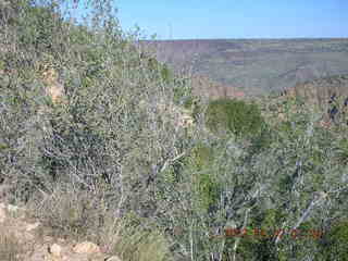 run in Bagdad