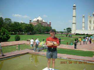 Taj Mahal pool - Adam