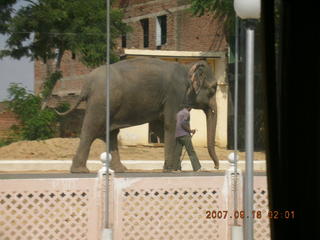 190 69e. Agra - elephant