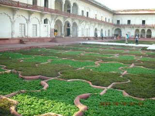 282 69e. Agra Fort - garden