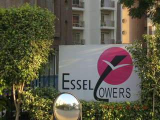 potted plants - Essel Towers - Gurgaon, India