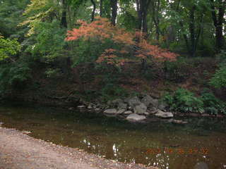 morning run - Tookany Creek Park