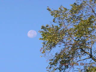 morning in Thompson Park with moon