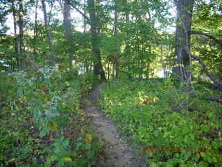 morning in Thompson Park