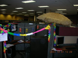 Neil's wedding/honeymoon workplace