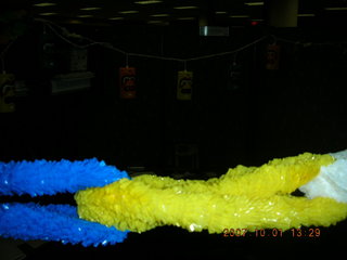 Zion National Park - Observation Point hike - half moon