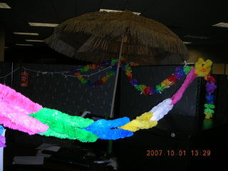 Neil's wedding/honeymoon workplace