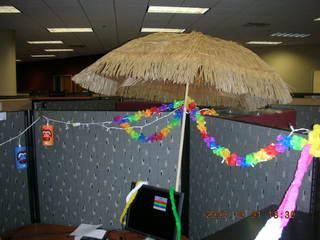 Zion National Park - Observation Point - half moon