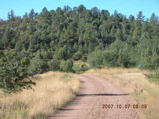 Young - run to Chapman Ranch