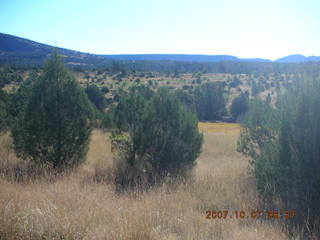 Chapman Ranch run in Young, Arizona