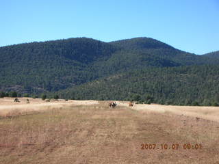 Chapman Ranch run in Young, Arizona