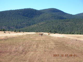 Chapman Ranch run in Young, Arizona