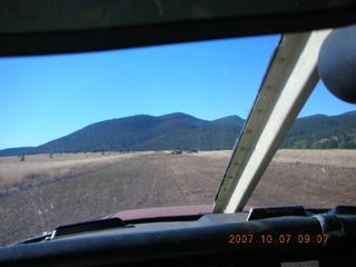 Chapman Ranch Airport runway with cows