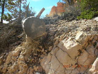 Bryce Canyon - Peek-a-boo loop