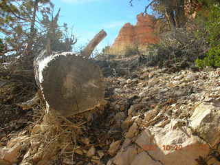 Bryce Canyon - Peek-a-boo loop