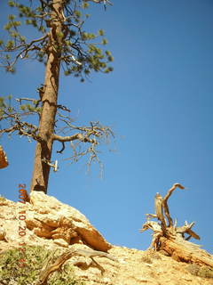 Bryce Canyon - Peek-a-boo loop