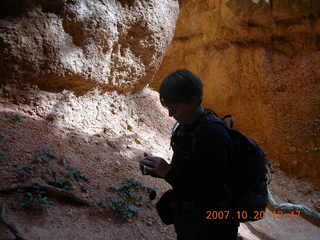 CHS-XC-2007 - runner at stone bridge