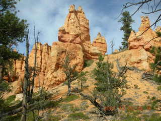 Bryce Canyon - Navajo loop - Two Bridges - Dee (backlit)