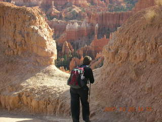 Bryce Canyon - twisted dead tree