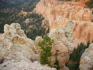 Bryce Canyon - Rainbow Point