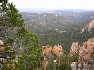 Bryce Canyon - Rainbow Point