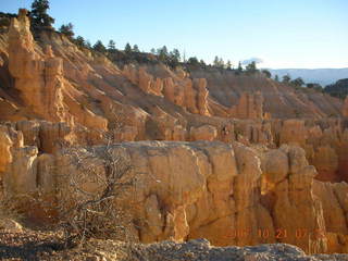 Bryce Canyon - rim trail
