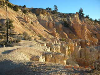Bryce Canyon - rim trail