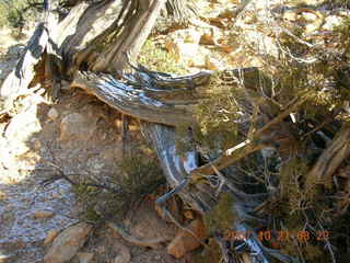 Bryce Canyon - Fairyland trail