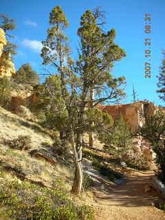 Bryce Canyon - Fairyland trail