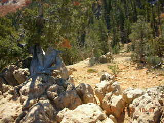Bryce Canyon - Fairyland trail