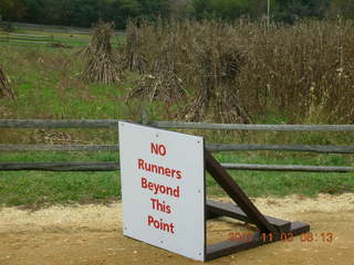 Holmdel Park - foliage - No Running sign