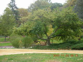 Holmdel Park - foliage