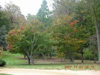 Holmdel Park - foliage