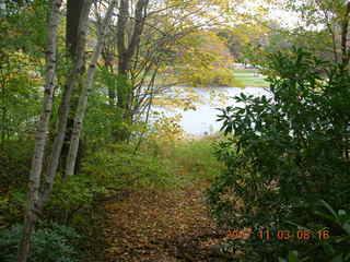 Holmdel Park - foliage - No Running sign