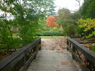 Holmdel Park - foliage - No Runners sign