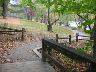 Holmdel Park - foliage