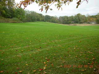 Holmdel Park - foliage