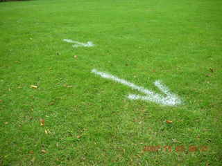 Holmdel Park - arrows on grass