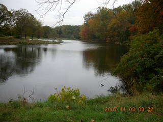 Holmdel Park - foliage